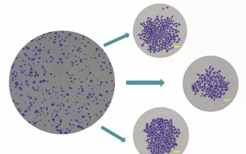 克隆2.png 克隆2.png